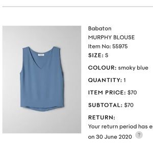 Aritzia Babaton Murphy Blouse